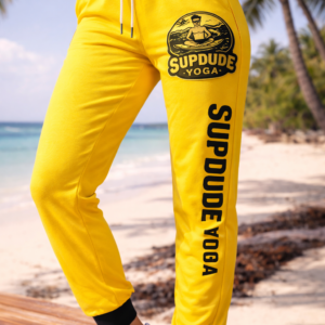 supdudeyoga give ups